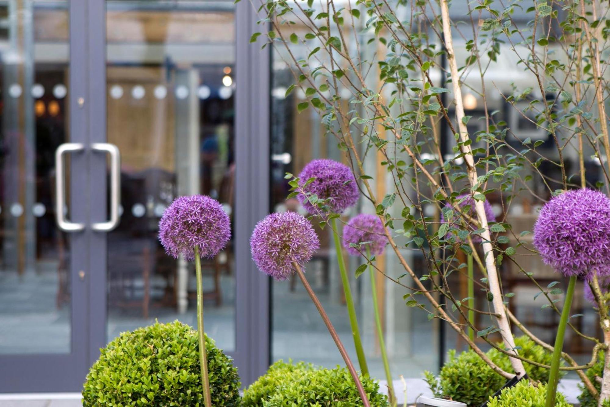 The Three Crowns Hotell Chagford Exteriör bild The exterior of the hotel