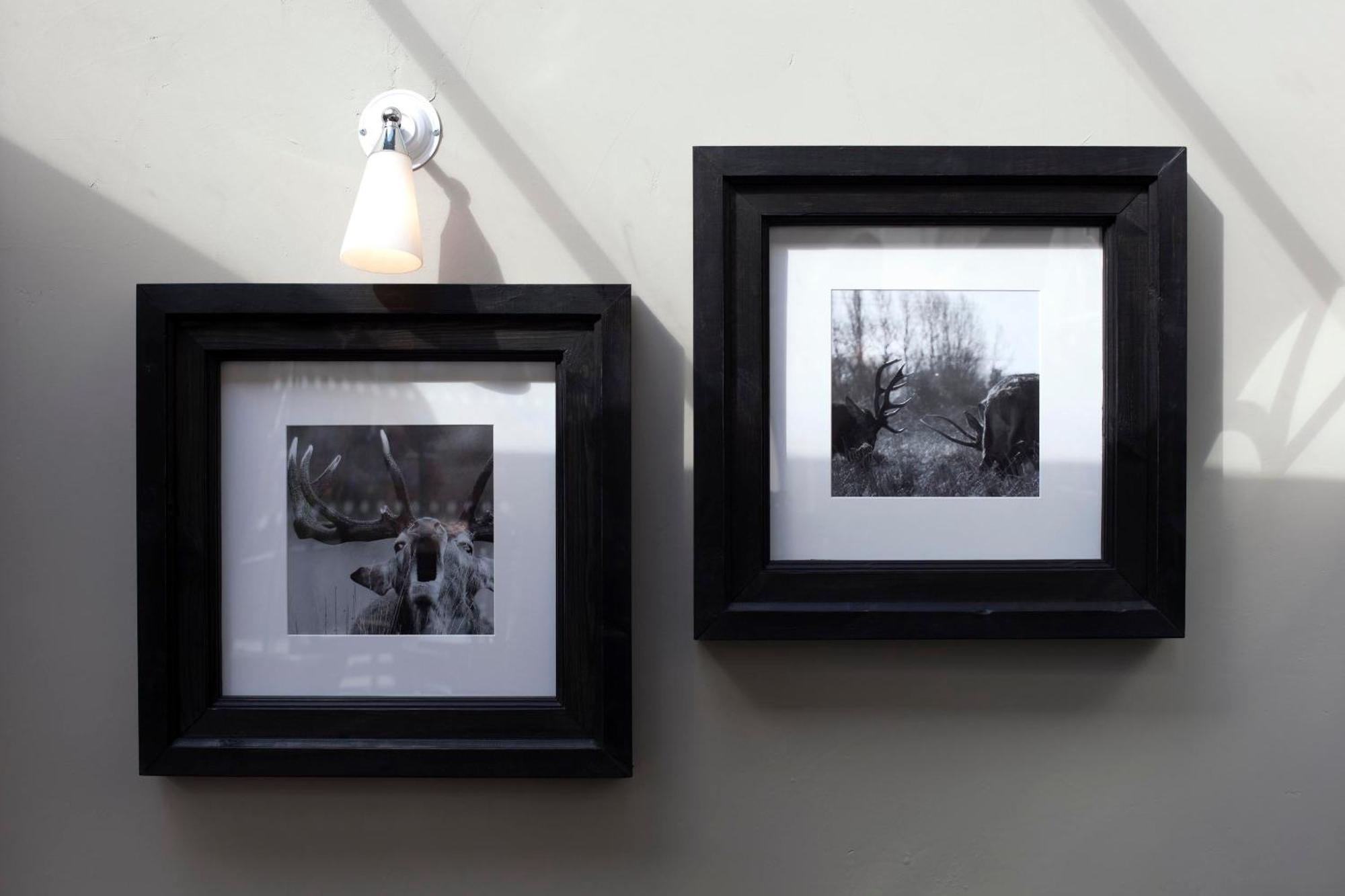 The Three Crowns Hotell Chagford Exteriör bild Framed photographs